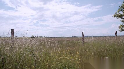 Hot Teen Sakura Gets Pounded