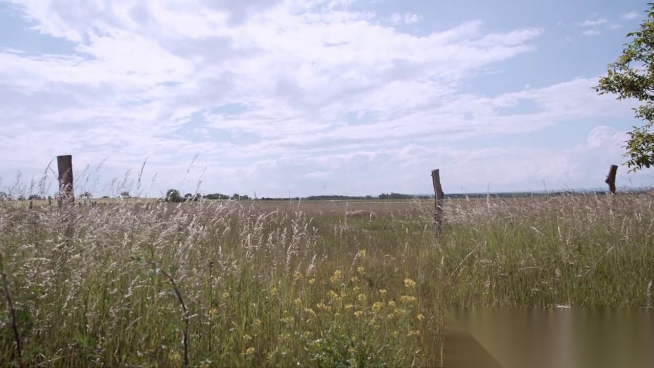Blog image 2